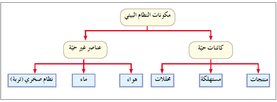 مكونات النظام البيئي